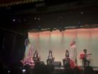 The flamenco show I watched at a local theater