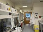 Tissue Culture Room 8, where the spheroids are formed and all of the magic happens!
