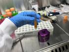 What is left in the tube after the magnet separates the monocytes, in the tube, is a mixture of the magnetic particles and the debris/leftover cells 