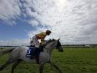 I attended The Galway Races during my first week in Galway; the energy of the crowd was incredible!