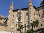 The historic beauty known as Ducal Palace of Urbino is really a gem.