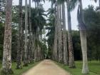 This is the most popular place to take pictures at the garden for visitors and tourists.