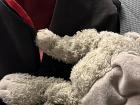 My only picture from the bus ride. I bring my stuffed elephant (Ellie) with me on all my travels!
