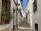 A neighborhood called Albaicín, dating back to the 13th century