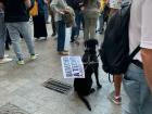 Dogs get involved too! His sign says, "right to a roof at a fair price"