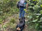 Hiking through the forest of Peru with my dog, Emy