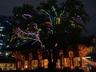 These lights were put up at the Buddhist temple to celebrate 