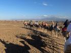 Riding into the sunset on a camel  