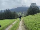 The beautiful nature and forestry in Switzerland is amazing!