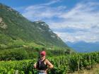 Standing in one of the vineyards I worked on in my viticulture internship in the Myans, France