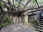 In the city of Tainan is a this famous "tree house" that is a very old house that has been taken over by different types of native trees. So I guess it's more of a "house tree"!