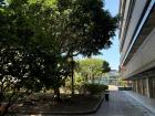 When the weather is warm and I have free time, I like to spend it outside in the courtyard! I often bring a book outside and read under the trees
