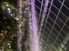 The Cloud Forest dome had a huge and beautiful waterfall! I had to be careful not to be splashed while I tried to take a picture