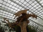This amazing wood carving dragon statue is inside the Flower Dome. It looks out over the entire space kind of like a guardian. I think it looks incredible!