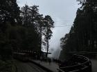 By the end of the afternoon, the clouds had come in so we could see what it was really like to be in a cloud forest