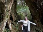This giant tree reminded me so much of the Pacific Northwest, I had to pose in front of it! It was so huge!!