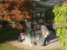 Little free library in a park