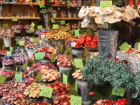 Christmas Market!