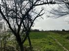 An abandoned field in Novi Sad