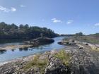 Here is a typical rocky coastal ecosystem and perfect seabird nesting site. 