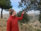 We learned about native plants in the Spanish mountains.