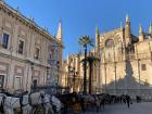 Here are some horses, waiting to show tourists the city of Sevilla.