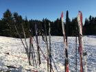 Some skiers left their gear in the snow while they stopped for a lunch break.