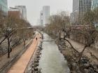 There are many canals in Seoul where you can walk along the water and even cross the river!