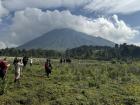 The volcanoes in Rwanda are breathtaking