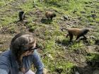 Me with the golden monkeys in Volcanoes National Park