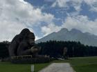 The site of the annual baby gorilla naming ceremony