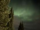 The Northern Lights!