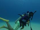 Diving in the island of San Andrés!