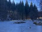 A visit to the frozen lake!