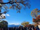 The summit of Mt. Takao during Fall with Mt. Fuji hiding behind the clouds