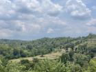 The Tamil Nadu countryside