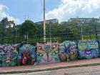 Some street art along a skate park right outside my house
