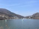 The view from a local lake