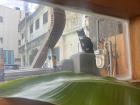A cat I caught watching me through the window of a local café