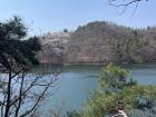 Can you spot the cherry blossoms in this picture?