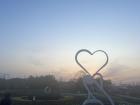 A Korean heart over fields of tulips