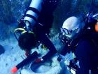 An old image of the ROV--maybe you can come up with a cool name for it?