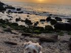 Senegal has the most beautiful sunsets! This is a beach in Toubab Dialao