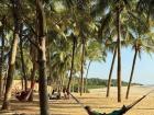 Senegalese beaches are very tropical with lots of palm trees