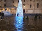 The main piazza is getting ready for the holidays with this giant tree!