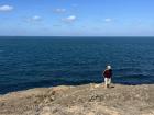 The land in Penghu is mostly barren because of how windy it is.  Only the toughest plants survive!