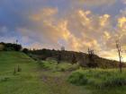 Sunset on La Réunion, where the Sommer Lab field station is located (photo by Penghieng Theam)