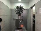 Most public bathrooms in Germany will have a turnstile where you pay a small fee to use it