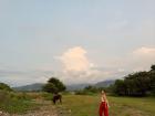 This field near the mountains is home to dozens of cows and goats