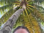 Underneath the shade of a coconut tree